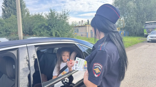 Автоинспекторы напомнили елабужанам о правилах перевозки детей