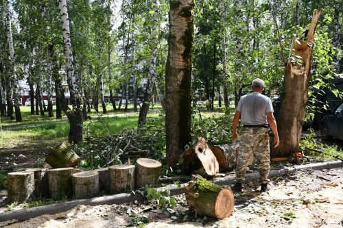 Последствия непогоды устраняют в Елабуге