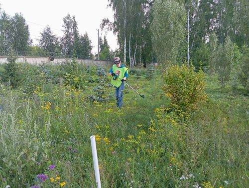Волонтеры провели очередной агроуход в Зеленом сквере Елабуги