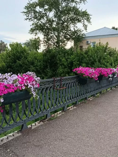 Алабуга райбашкарма комитеты җитәкчесе шәһәр милкенә зыян китерүчеләрне җәза турында кисәтте