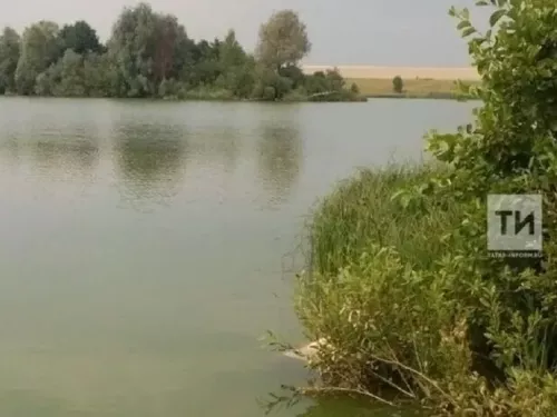 Татарстанда 38,2 км елга тәртипкә китерелә