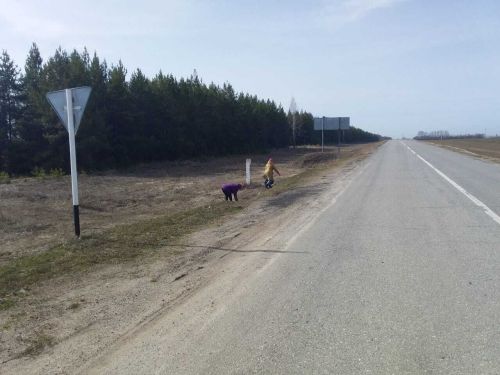 В Елабуге и районе активно проходят субботники