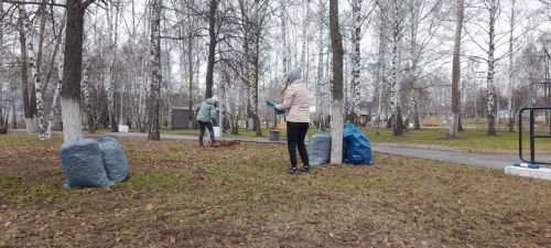В Елабуге и районе активно проходят субботники