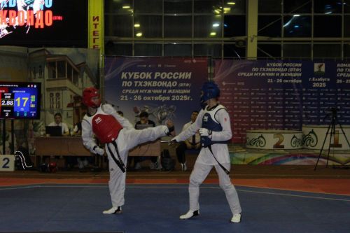 Кубок России по тхэквандо ВТФ