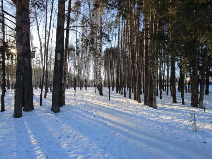 В некоторых районах Татарстана ожидается тридцатиградусный мороз