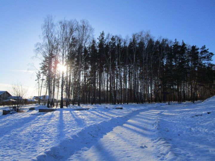 Главный синоптик России рассказал про погоду в феврале и марте