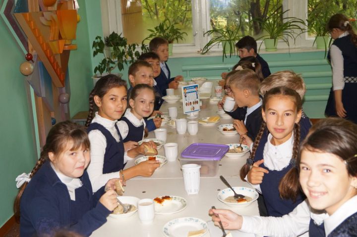 Елабужане могут задать вопросы о питании своих детей в школах и детсадах