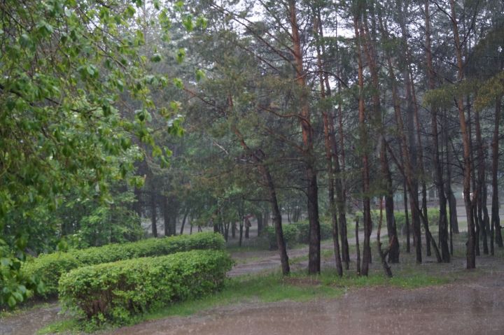 Гидрометцентр обещает Татарстану дожди и грозы из-за жары