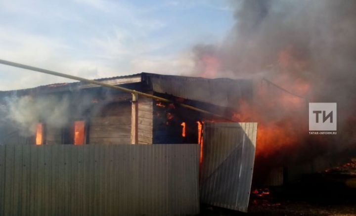 В Татарстане сгорел дом вместе с хозяином