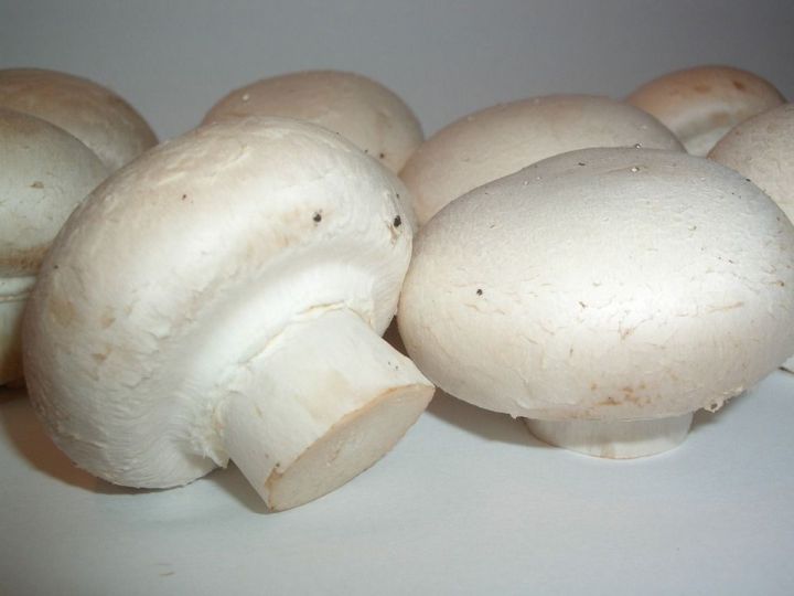 В Елабуге похитили более 8 тысяч килограмм грибов почти на полтора миллиона рублей
