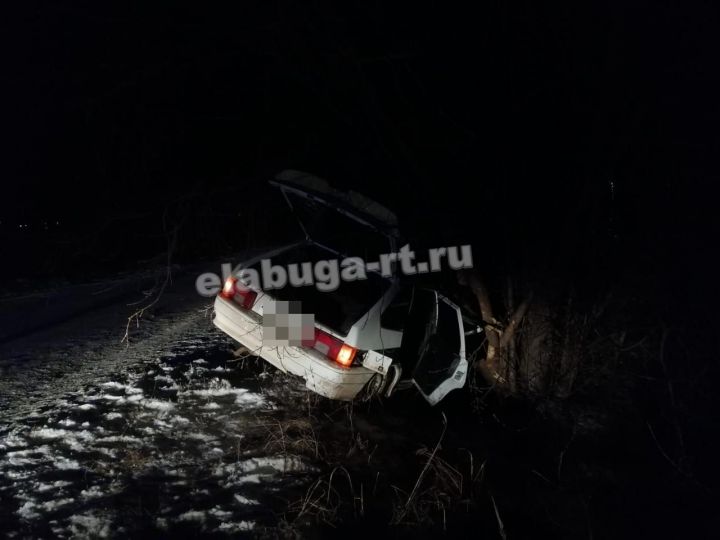 В Елабуге автомобиль въехал в дерево: пострадали люди