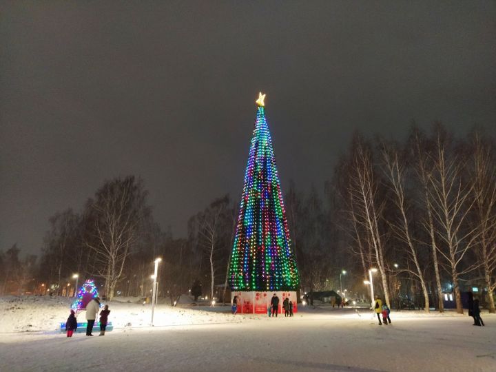 Стало известно, как елабужане отпразднуют Новый год