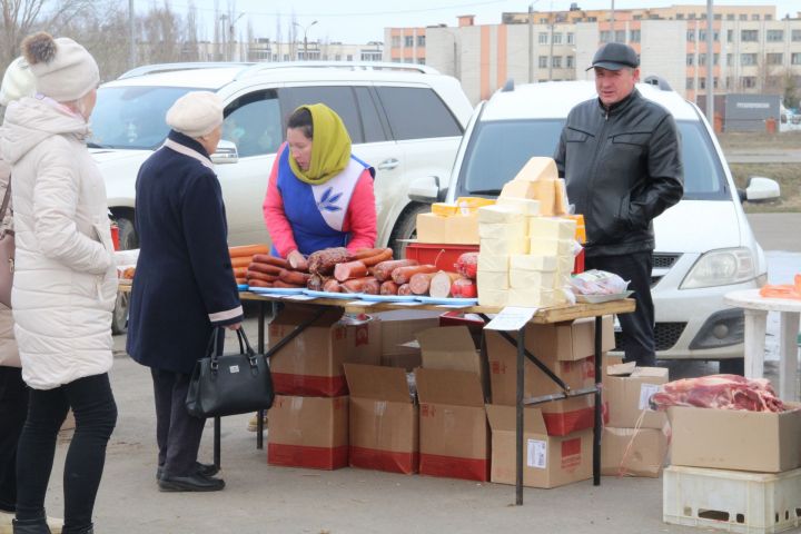 В Елабуге проходит весенняя сельскохозяйственная ярмарка