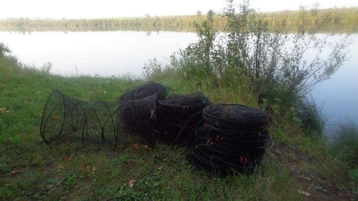 Результаты рейдов по нацпарку "Нижняя Кама" : разведение костров, незаконная ловля рыбы и раков