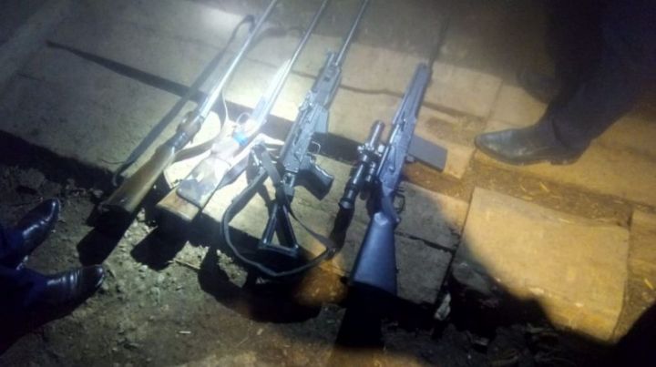 В Елабужском районе браконьеры застрелили семью кабанов