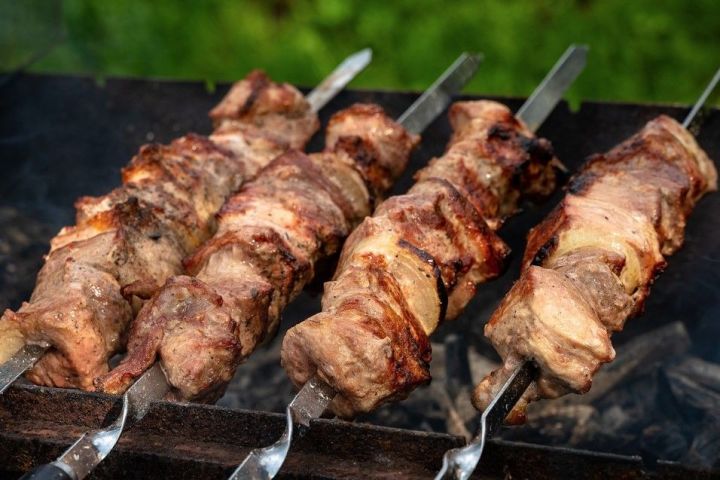 Шашлычники, жарившие мясо в  нацпарке "Нижняя Кама", заплатят штраф