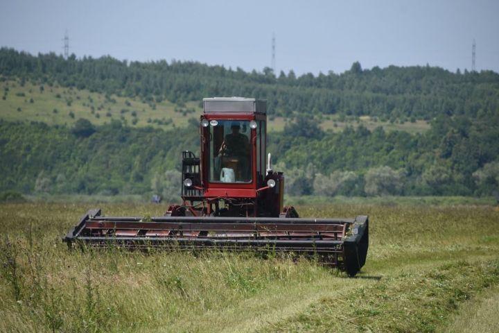 Аграрии Елабужского района готовят запасы кормов на зимовку скота