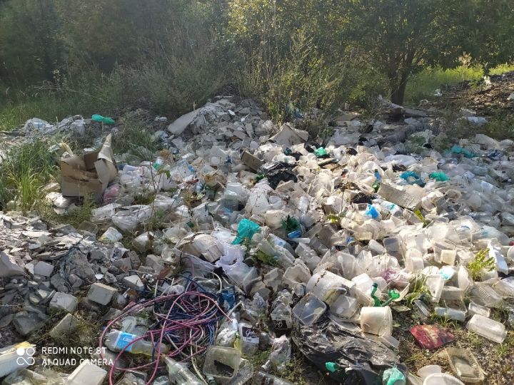 Елабужанин обнаружил свалку мусора, расположенную вдоль дороги