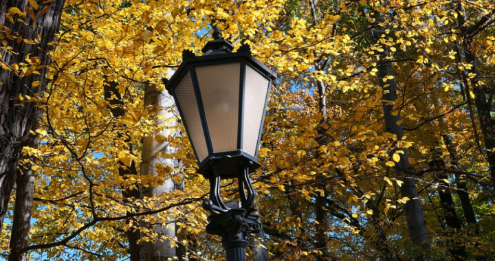 Рустем Нуриев поручил решить вопрос уличного освещения в парках