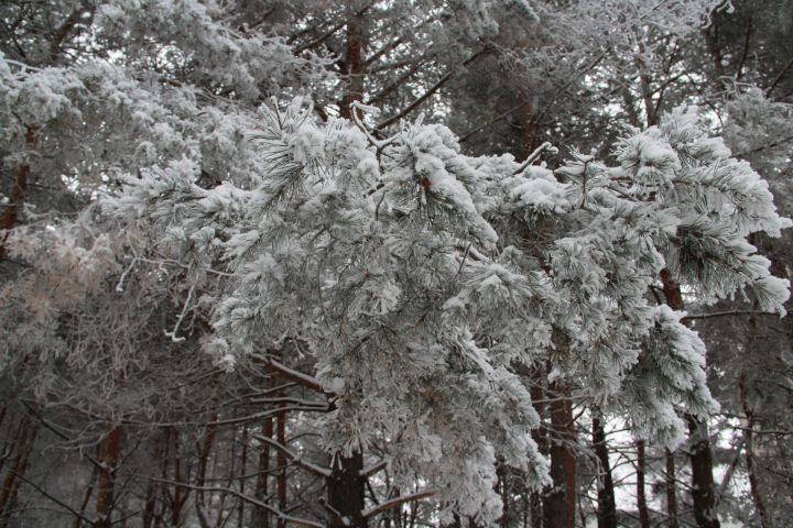 В Татарстане на выходных ожидается снег и сильный ветер