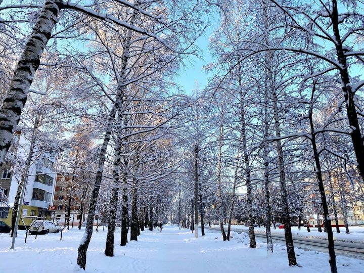 В предновогоднюю неделю татарстанцев ожидают морозы до -21 градуса