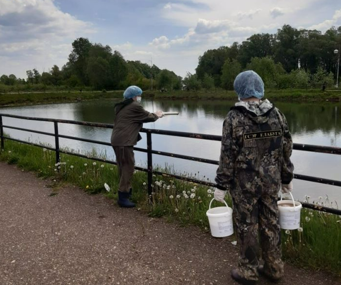 В Елабуге повторно обрабатывают территории от насекомых