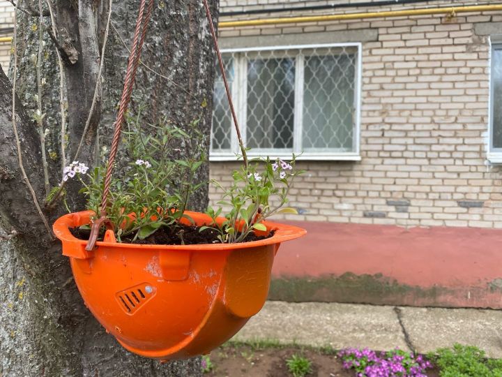 Продолжается прием фото на конкурс "Мой цветущий двор"