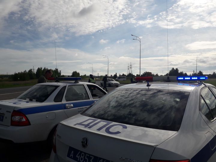 В Елабуге за непристегнутый ремень оштрафовали 363 человека