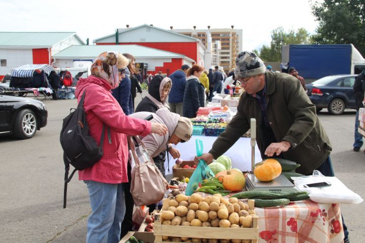 Елабужане могут закупиться фермерскими продуктами на сельхозярмарках