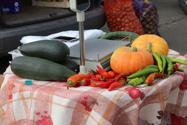 В Елабуге на первой сельхозярмарке продали 10 тонн овощей