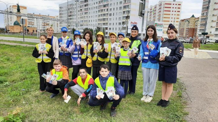 В Елабуге прошла акция «Дорога  без опасностей»