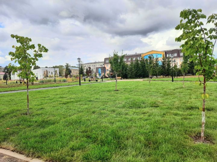 В Елабуге озеленяют площадь Ленина
