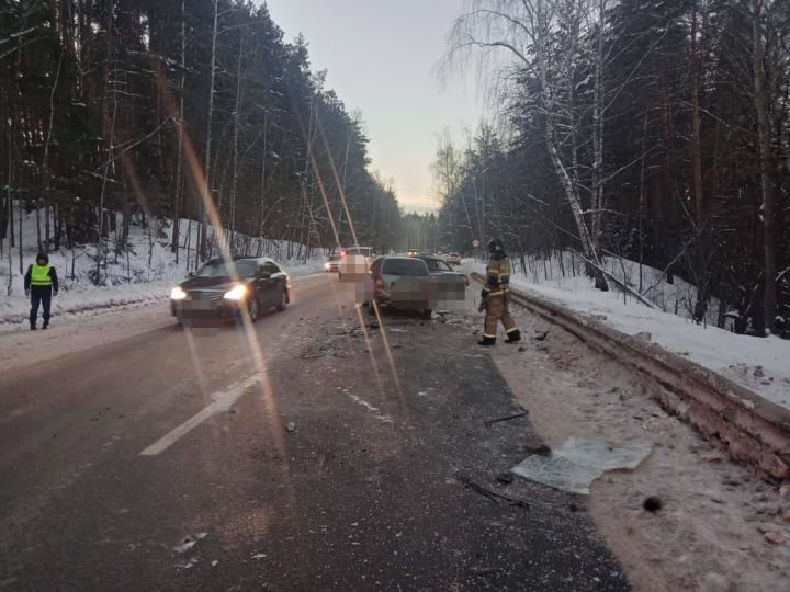 В Елабужском районе водитель сбил лося и вылетел на встречку: пострадавший пассажир в реанимации