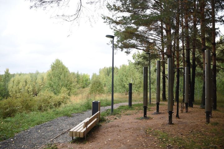 В Елабуге продолжается ремонт уличного освещения