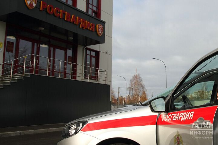 В России отмечают День образования подразделений вневедомственной охраны Росгвардии