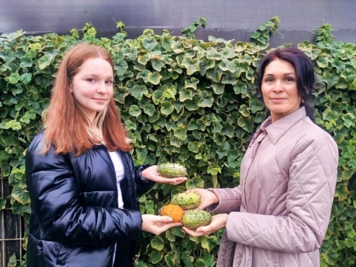 Чудо-фрукт вырастили в Детском эколого-биологическом центре Елабуги