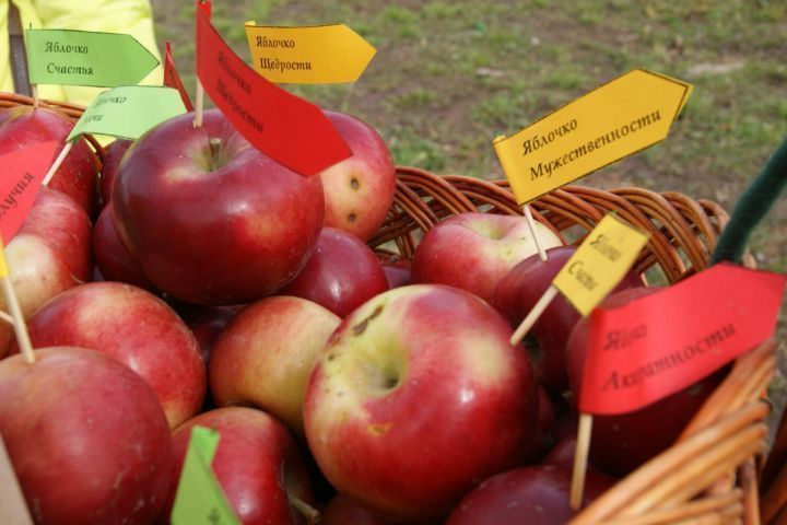 Продукт, который специалисты рекомендуют употреблять в сезон простуд
