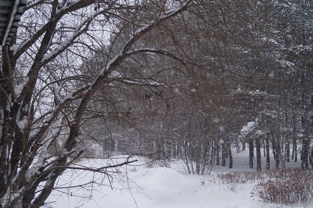 Татарстанцев предупреждают о надвигающейся снежной буре