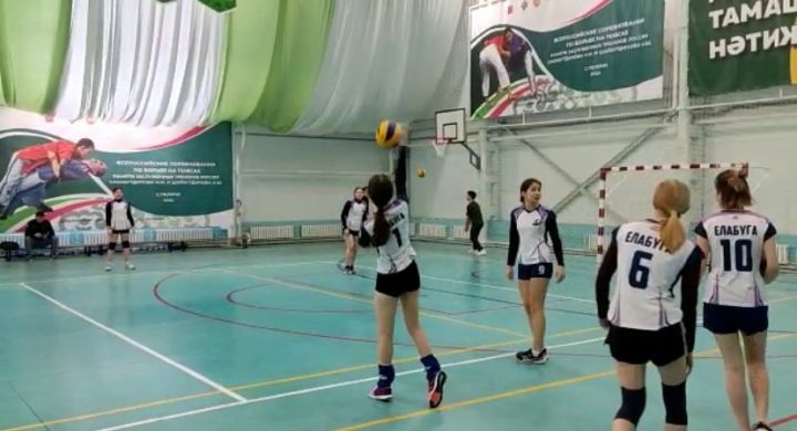 Елабужские спортсмены приняли участие в Первенстве РТ по волейболу