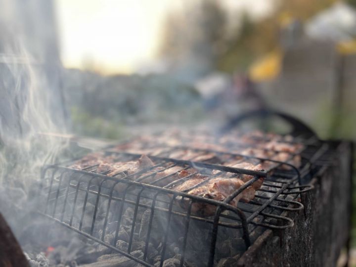 В МЧС рассказали, где в Татарстане запрещено жарить шашлыки