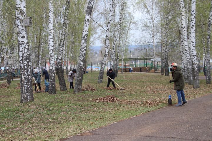 Елабужане присоединились к Всероссийскому субботнику