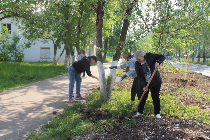 В Елабуге на старо-татарском кладбище состоялся субботник