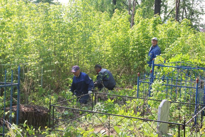 В Елабуге на старо-татарском кладбище состоялся субботник