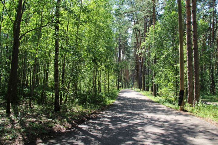 В Татарстане продлили штормовое предупреждение из-за высокой пожароопасности лесов
