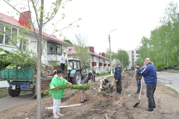 Около 100 человек вышли на массовый субботник в Елабуге