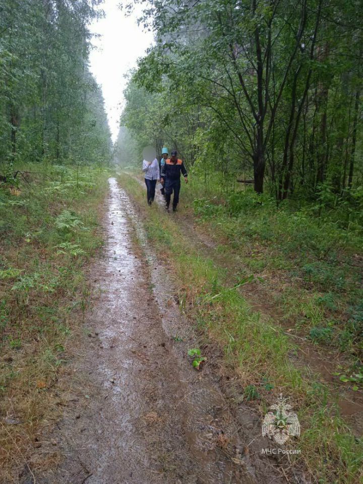 В Танаевском лесу заблудились две елабужанки