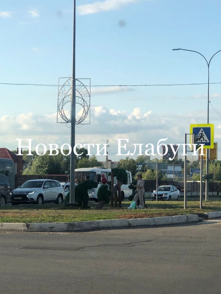 Елабужане возмущены поступком женщины, которая посадила на топиар ребенка