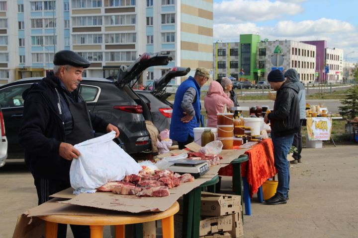 В Елабуге стартуют сельскохозяйственные ярмарки