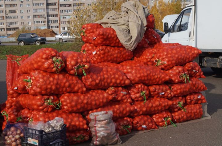 С 9 сентября в Татарстане стартуют сельскохозяйственные ярмарки