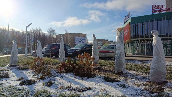 В Елабуге подготовили зеленые насаждения к зимнему периоду